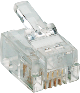 Stecker, RJ14, 4-polig, 6P4C, P 127