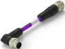 Sensor-Aktor Kabel, M12-Kabelstecker, abgewinkelt auf M12-Kabeldose, gerade, 5-polig, 6 m, PUR, violett, 4 A, TAA75AA5501-060