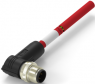 Sensor-Aktor Kabel, M12-Kabelstecker, abgewinkelt auf offenes Ende, 4-polig, 2 m, PVC, rot, 4 A, TAA542B1411-020