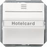 Hotel Cardschalter, titanweiß, IP20, 5TG4820