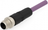 Sensor-Aktor Kabel, M12-Kabelstecker, gerade auf offenes Ende, 2-polig, 2 m, PUR, violett, 4 A, TAB62135501-020
