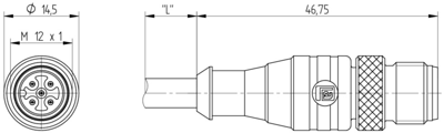 17089 Lumberg Automation Sensor-Aktor Kabel Bild 2