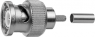 BNC Stecker 75 Ω, 0.8/3.7-6.15, Crimpanschluss, gerade, 100023474