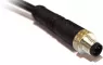 PXPPVC05FIM04ACL010PVC BULGIN Sensor-Aktor Kabel