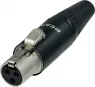 RT3FC-B REAN XLR Steckverbinder