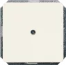 DELTA profil Blind-Abdeckplatte, titanweiß, 5TG1810