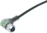 77 3634 0000 50003-0200 binder Sensor-Aktor Kabel