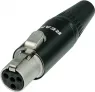 RT4FC-B REAN XLR Steckverbinder