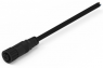 Sensor-Aktor Kabel, M12-Kabeldose, gerade auf offenes Ende, 4-polig, 2 m, PVC, schwarz, 5 A, 643621120304