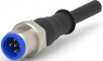 Sensor-Aktor Kabel, M12-Kabelstecker, gerade auf offenes Ende, 8-polig, 5 m, PUR, grau, 2 A, 2273048-3