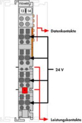 753-603 WAGO Einspeise- und Segmentmodule Bild 2