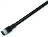 756-5301/040-100 WAGO Sensor-Aktor Kabel