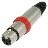 NC3FXS Neutrik XLR Steckverbinder