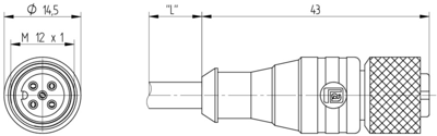 2012 Lumberg Automation Sensor-Aktor Kabel Bild 2