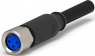 Sensor-Aktor Kabel, M8-Kabeldose, gerade auf offenes Ende, 3-polig, 1.5 m, PVC, schwarz, 4 A, 1-2273005-1