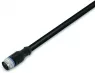 756-5301/060-050 WAGO Sensor-Aktor Kabel