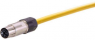 Sensor actuator cable, M12-cable socket, straight to open end, 8 pole, 2 m, PUR, yellow, 0948C500756020