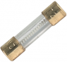 Microfuses 5 x 20 mm, 2 A, TT, 250 V (AC), 35 A breaking capacity, 0034.5716.11