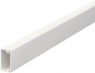 Cable duct, (L x W x H) 2000 x 20 x 10 mm, PVC, pure white, 6150764