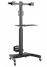 TV trolley, without shelf, (W x H x D) 875 x 1670 x 630 mm, for 2 x LCD LED TV 13 to 32 inch, max. 8 kg, ICA-TR42