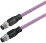 Bus line, M12-plug, straight to M12-plug, angled, 0.2 m, purple