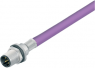 Sensor actuator cable, M12-flange plug, straight to open end, 2 pole, 0.5 m, PUR, purple, 4 A, 70 4433 247 04