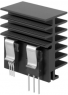 Extruded heatsink, 100 x 30 x 52 mm, 6 to 2.2 K/W, black anodized