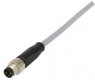 Sensor actuator cable, M8-cable plug, straight to open end, 3 pole, 1.5 m, PVC, gray, 21348000380015