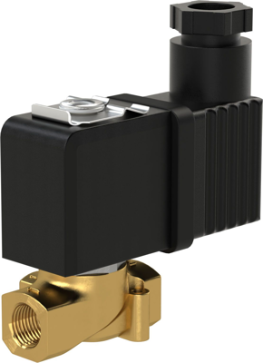 145429 Riegler Valves Image 1