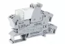 Relay module, Uin 24 VDC, 2 changeover contacts, 8A, Red status, Module width 15 mm, 2,50 mm², gray