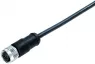 Sensor actuator cable, M12-cable socket, straight to open end, 4 pole, 2 m, PUR, black, 8 A, 77 0606 0000 50704-0200