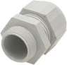 Cable gland, PG11, 22 mm, Clamping range 5 to 10 mm, IP66/IP68, light gray, 99302