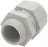 Cable gland, PG36, 53 mm, Clamping range 22 to 32 mm, IP66/IP68, light gray, 99307