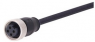 Sensor actuator cable, 7/8"-cable socket, straight to open end, 4 pole, 10 m, PUR, black, 21349700496100