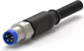 Sensor actuator cable, M8-cable plug, straight to open end, 3 pole, 5 m, PUR, black, 4 A, 2273000-3
