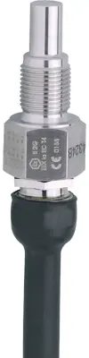 SF111A IFM electronic Float Switches, Flow Sensors