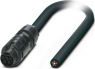 Power cable, 2.5 m, socket, 5 pole straight to open end, 2.5 mm², 1150675