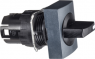 Selector switch, unlit, latching, waistband rectangular, front ring black, 2 x 60°, mounting Ø 16 mm, ZB6DD22