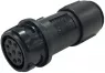 PXP4011/02S/4045 BULGIN Other Circular Connectors