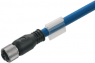 Bus line, M12-plug, angled to open end, PVC, 0.1 m, blue