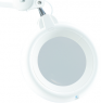 Slimline LED Magnifying Lamp