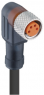 Sensor actuator cable, M8-cable socket, angled to open end, 4 pole, 2 m, PVC, black, 4 A, 15767
