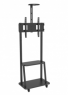 Floor TV holder, with shelf, (W x H x D) 700 x 1730 x 430 mm, for TV 32 to 70 inch, max. 60 kg, ICA-TR33