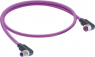 Sensor actuator cable, M12-cable plug, angled to M12-cable socket, angled, 5 pole, 1.5 m, purple, 934636796