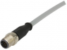 Sensor actuator cable, M12-cable plug, straight to open end, 12 pole, 0.5 m, PVC, gray, 21348400C79005