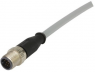 Sensor actuator cable, M12-cable plug, straight to open end, 12 pole, 1.5 m, PVC, gray, 21348400C79015