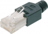 Plug, RJ45, 8 pole, 8P8C, Cat 5e, cable assembly, TM 11