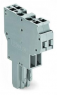 2-wire female connector, 2 pole, pitch 5 mm, 0.08-4.0 mm², AWG 28-12, straight, 32 A, 500 V, spring-cage connection, 769-122