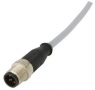 Sensor actuator cable, M12-cable plug, straight to open end, 5 pole, 10 m, PVC, gray, 21348400585100