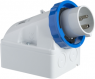 CEE wall plug with phase inverter, 5 pole, 16 A/200-250 V, blue, 9 h, IP67, 83579